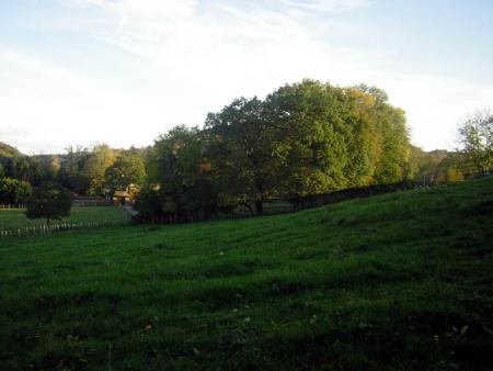 les prés à Viriville Isere